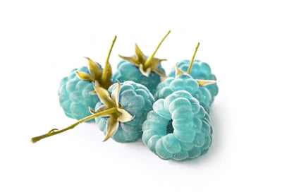 16 oz One Stop Blue Ras Slush